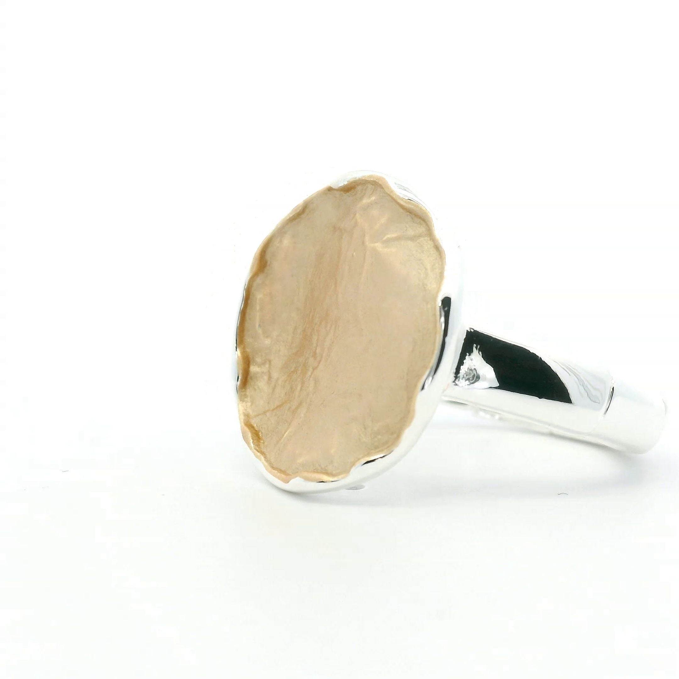 Ring elastische Schiene