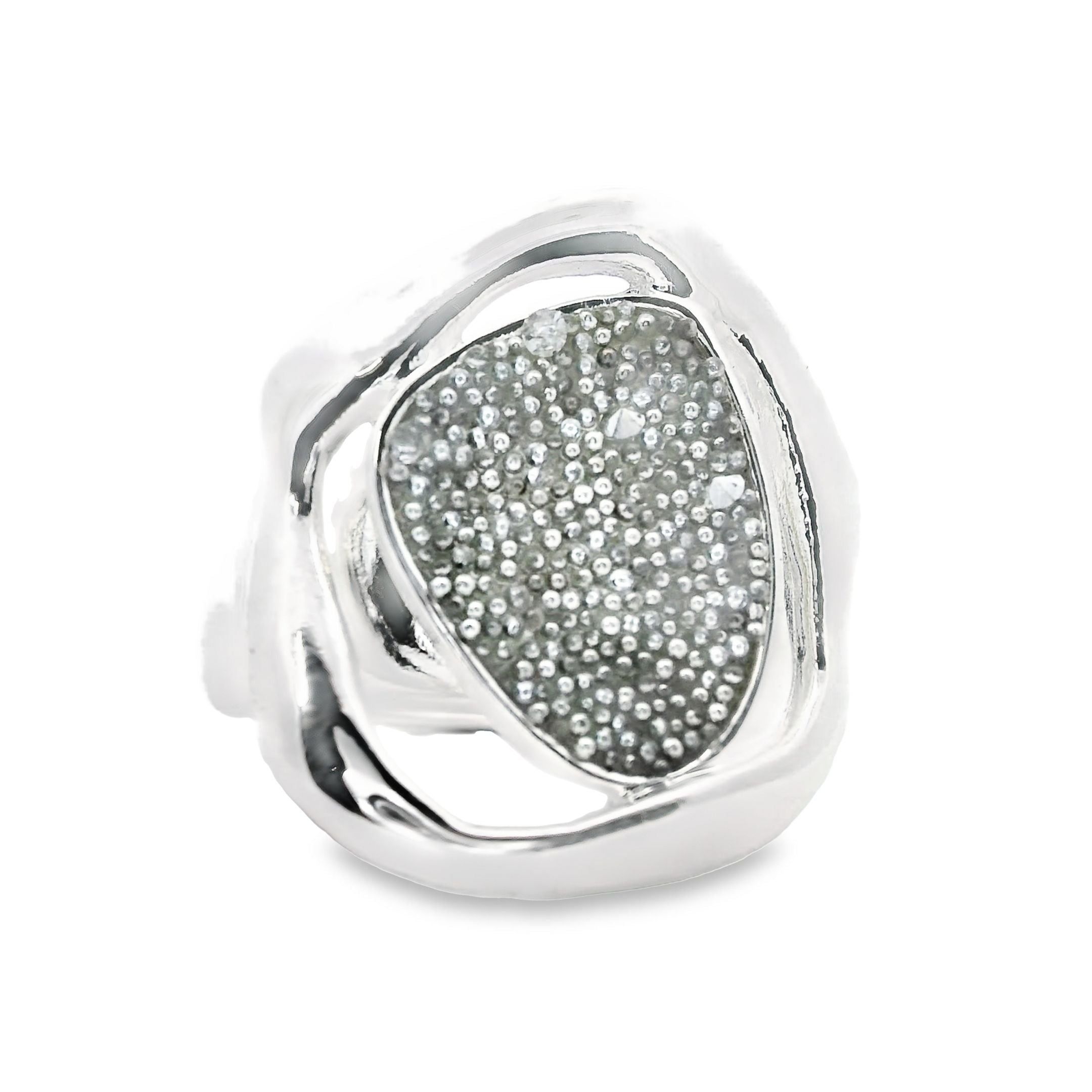 Ring elastische Schiene