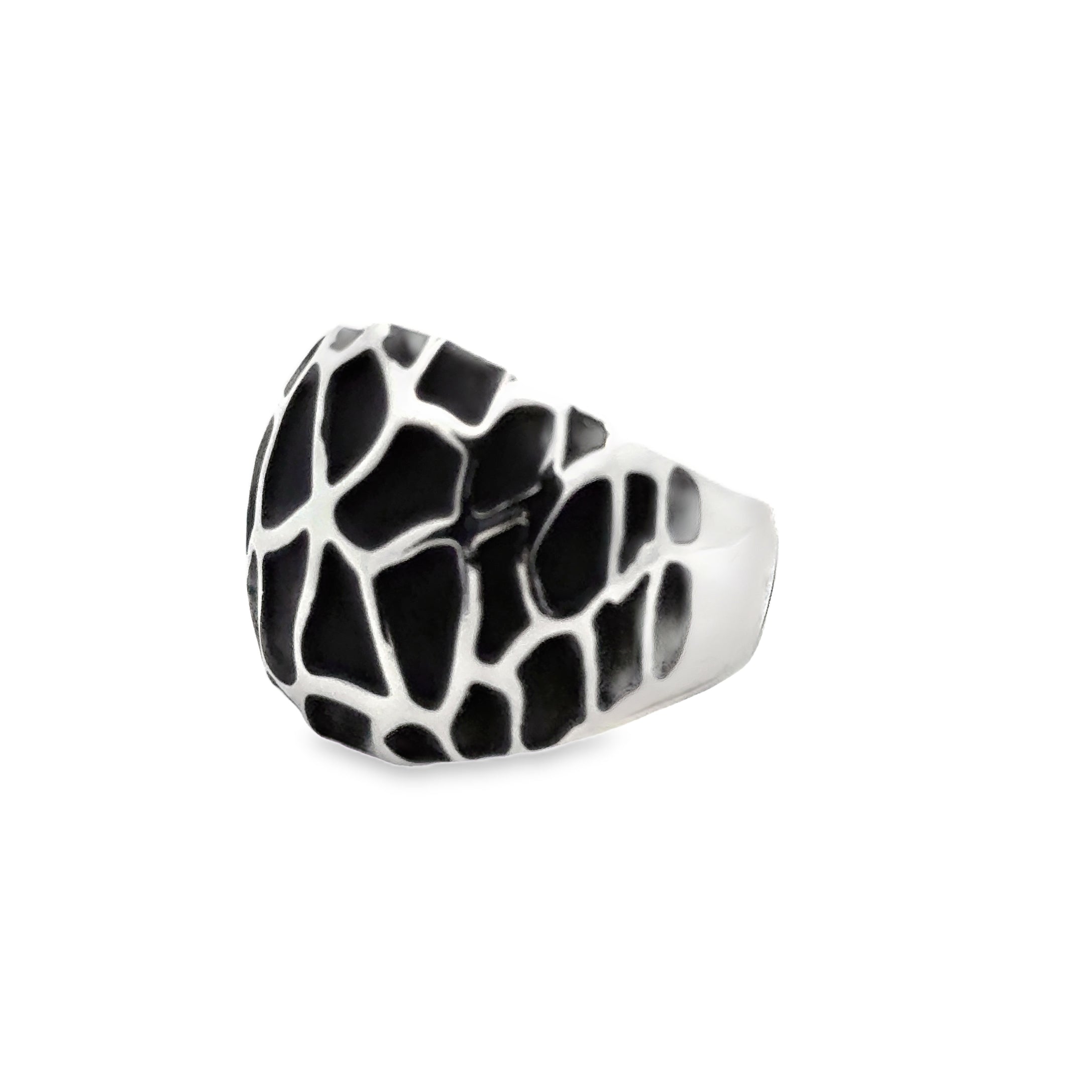 Ring elastische Schiene