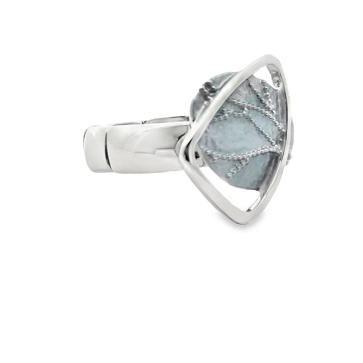 Ring elastische Schiene