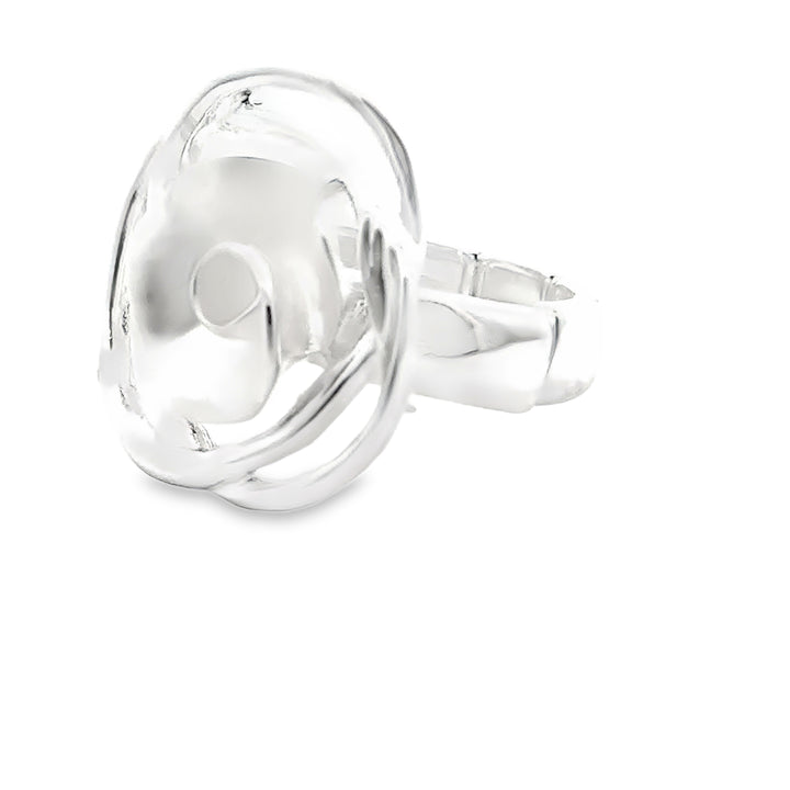 Ring elastische Schiene