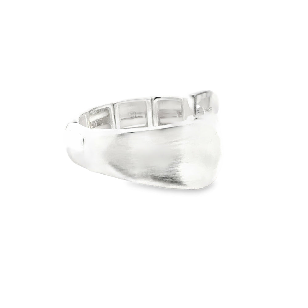 Ring elastische Schiene