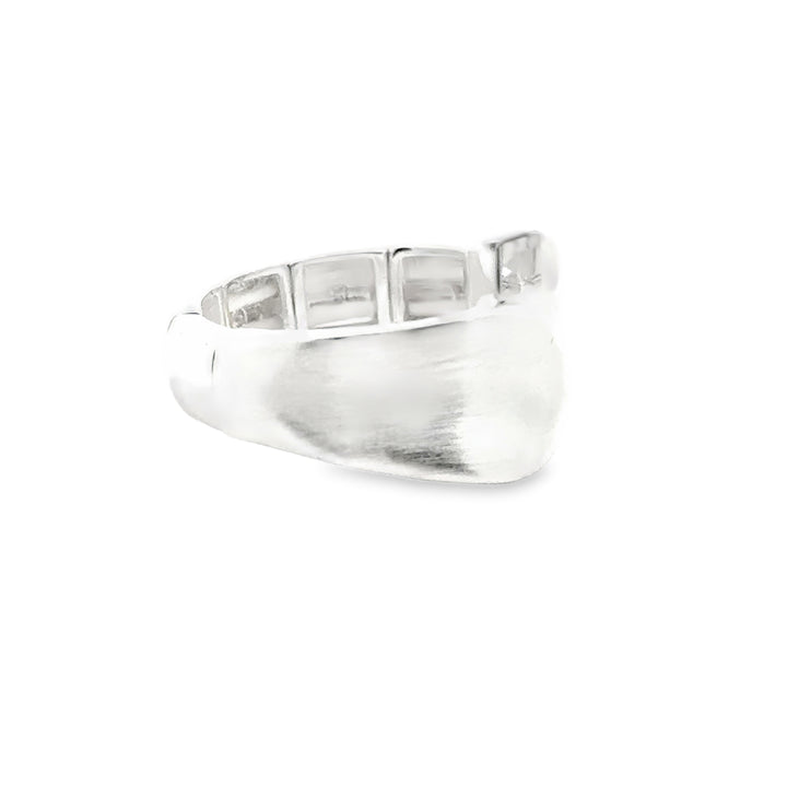 Ring elastische Schiene