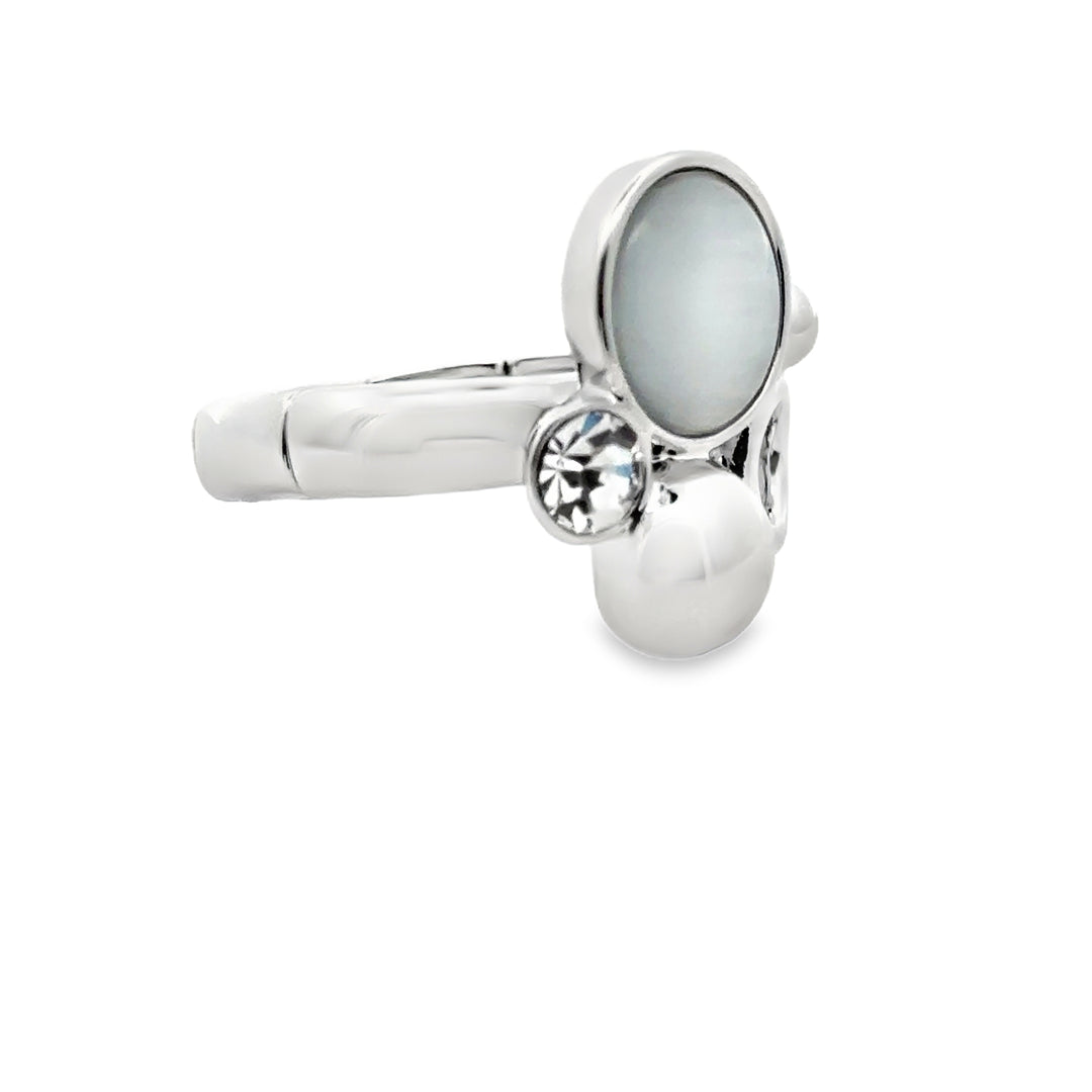 Ring elastische Schiene