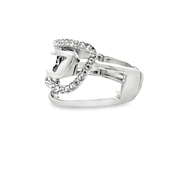 Ring elastische Schiene