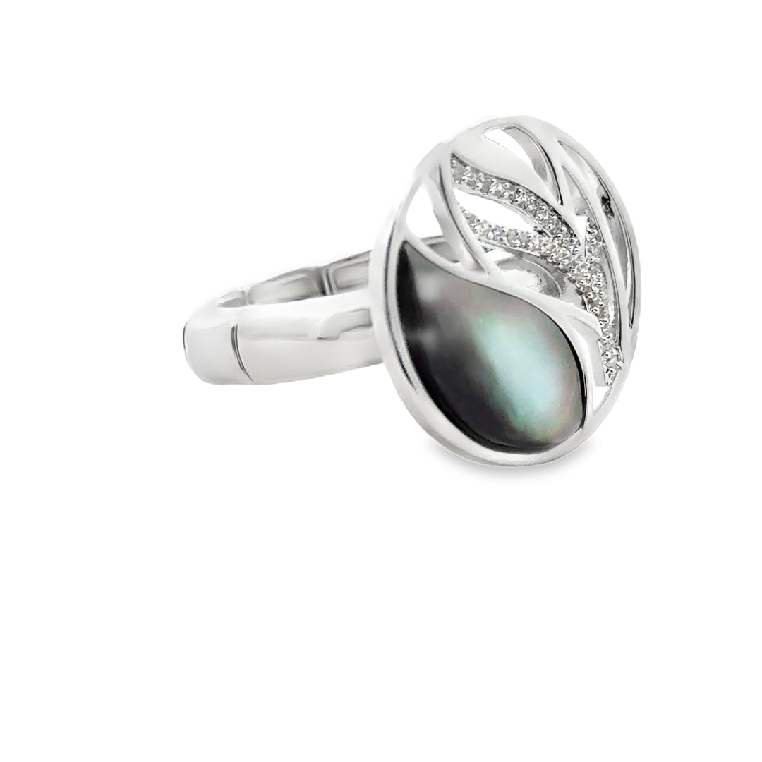 Ring elastische Schiene