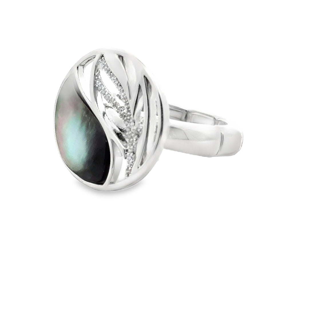 Ring elastische Schiene