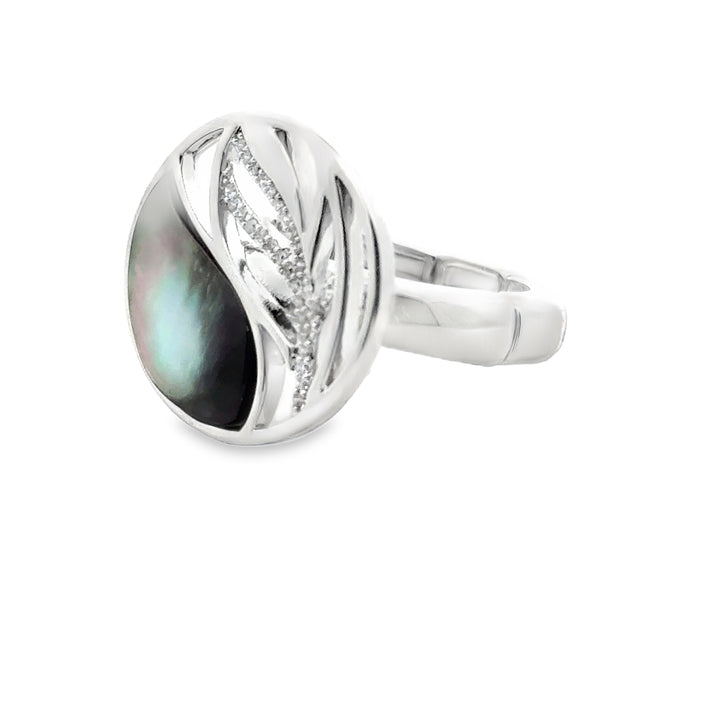 Ring elastische Schiene