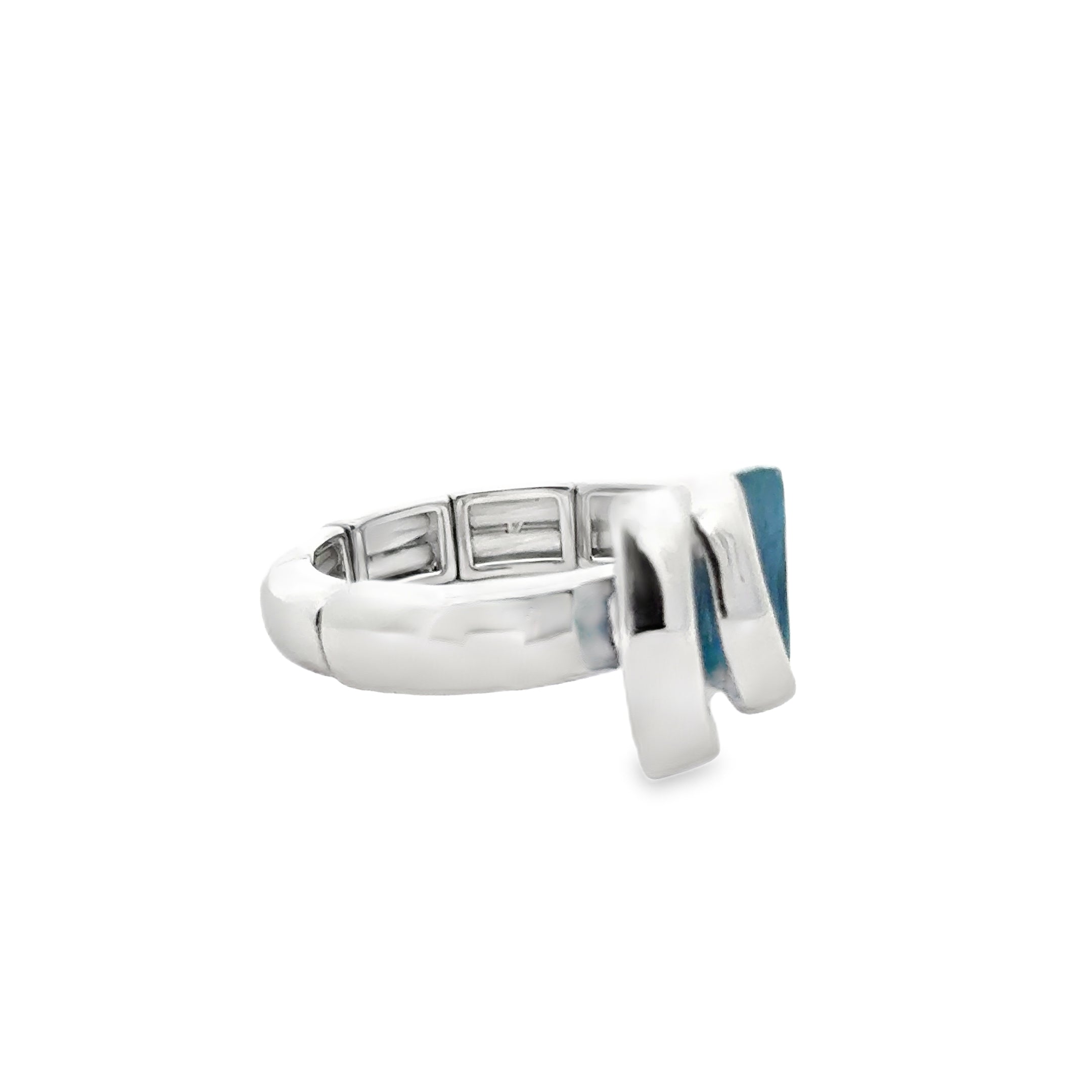 Ring elastische Schiene