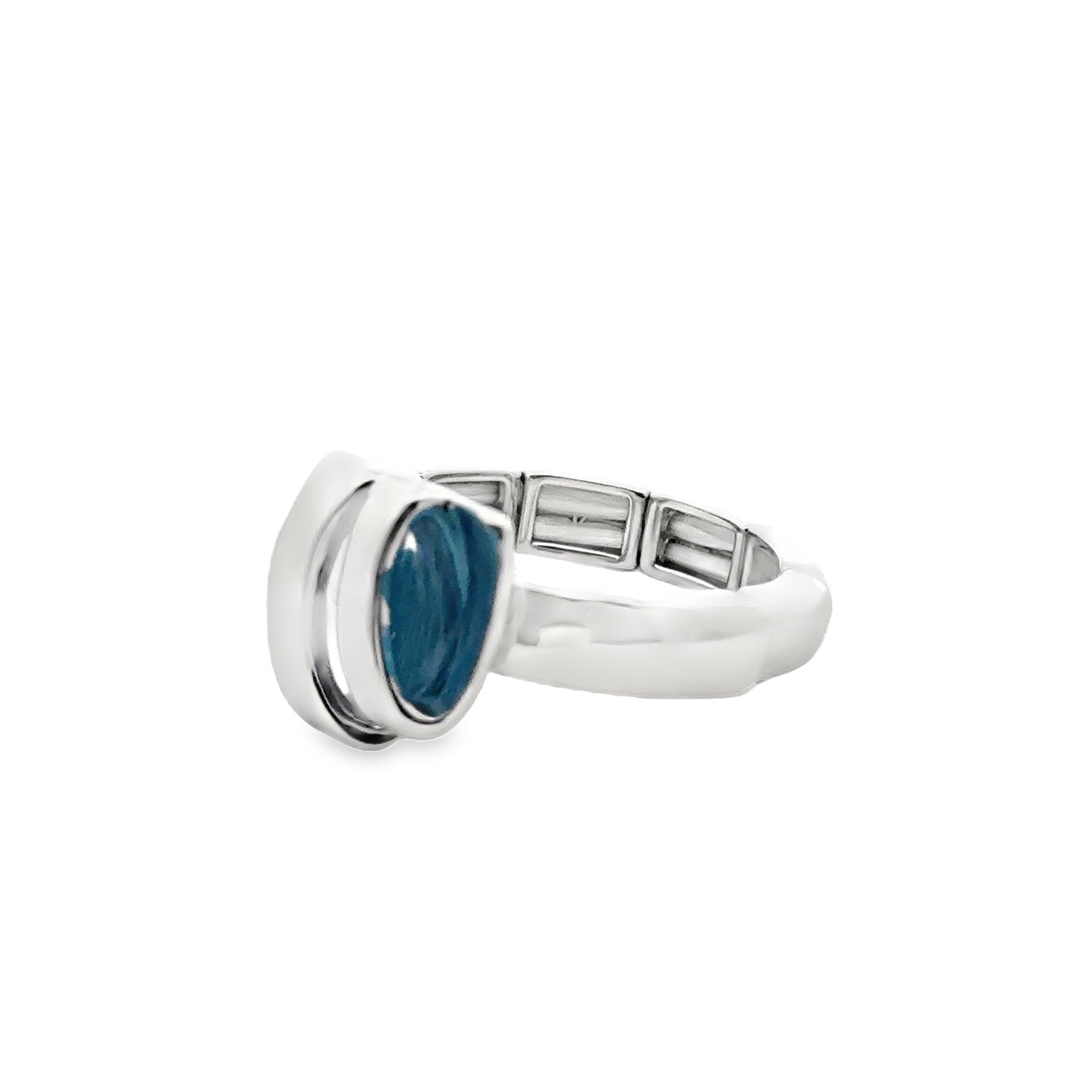 Ring elastische Schiene