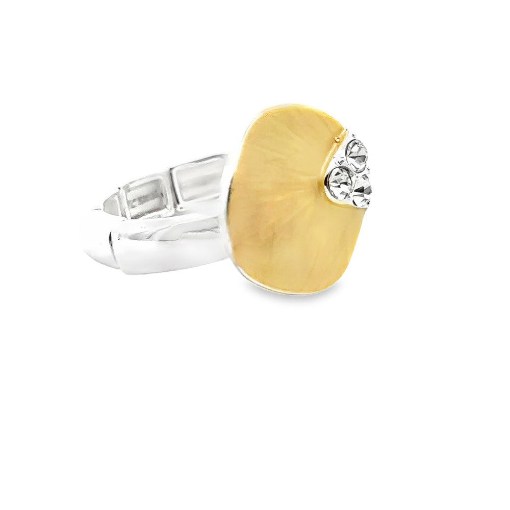 Ring elastische Schiene