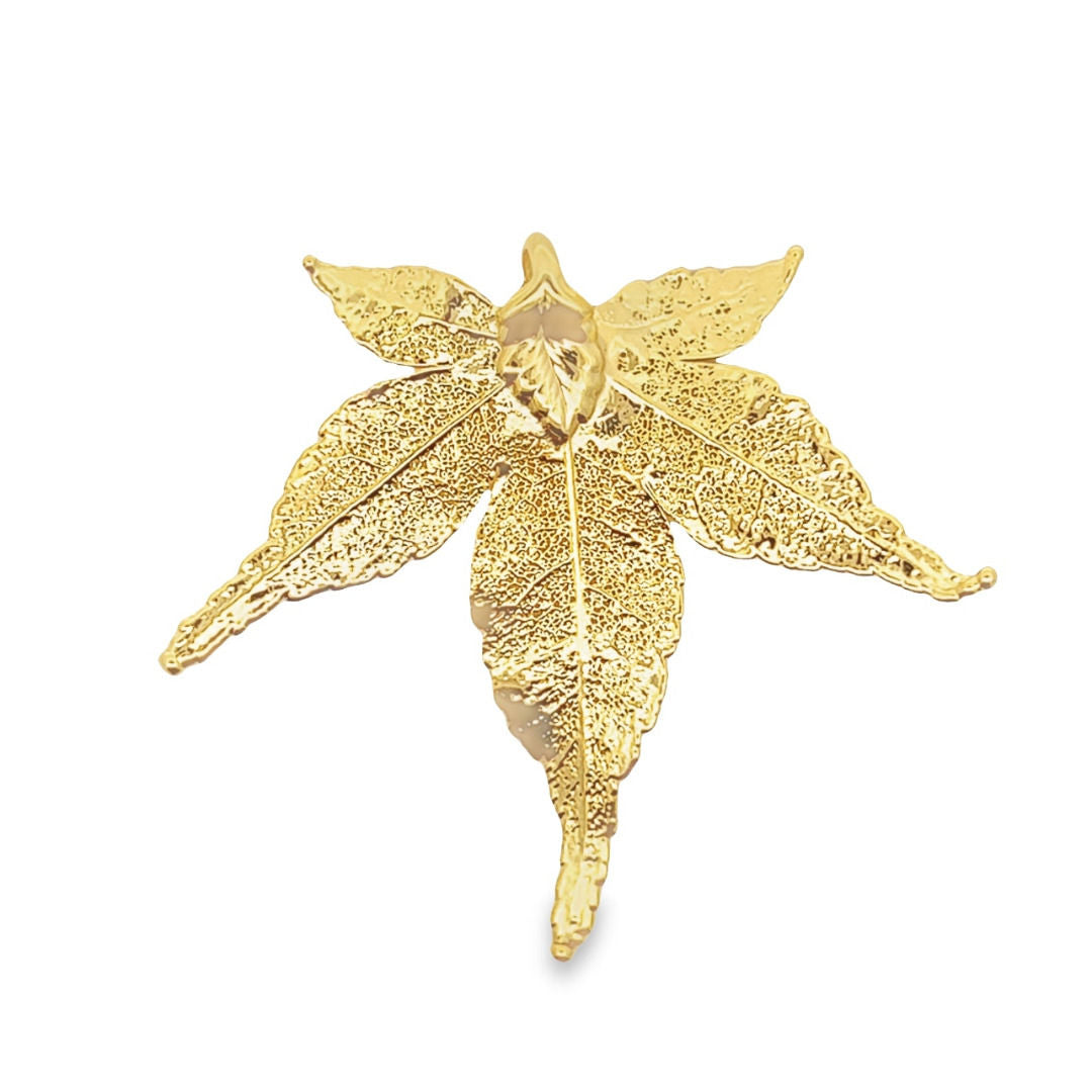 Cannabis sativa, Echtblatt, mit Kette vergoldet
