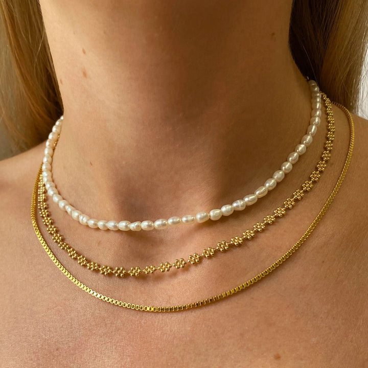 Collana Venezia