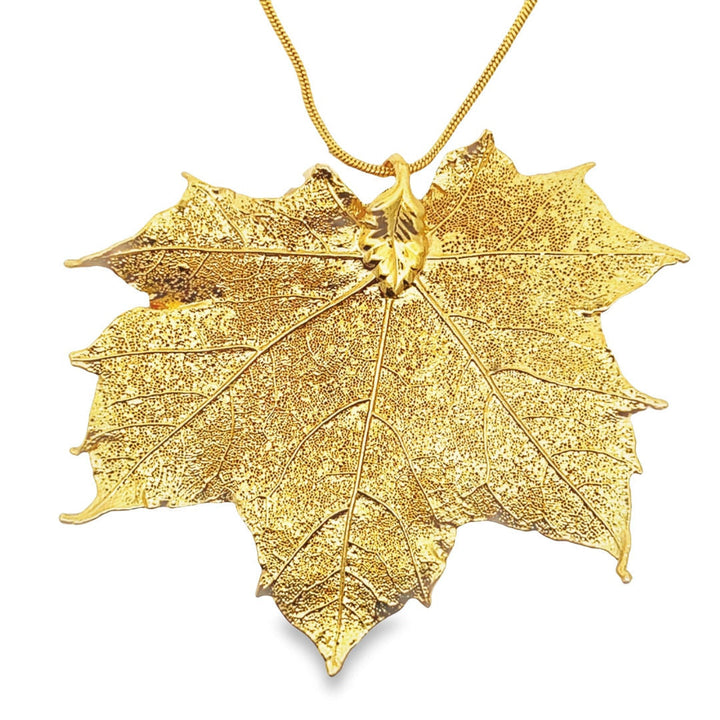 Kanadisches Ahorn Anhänger, Echtblatt, mit Kette vergoldet
