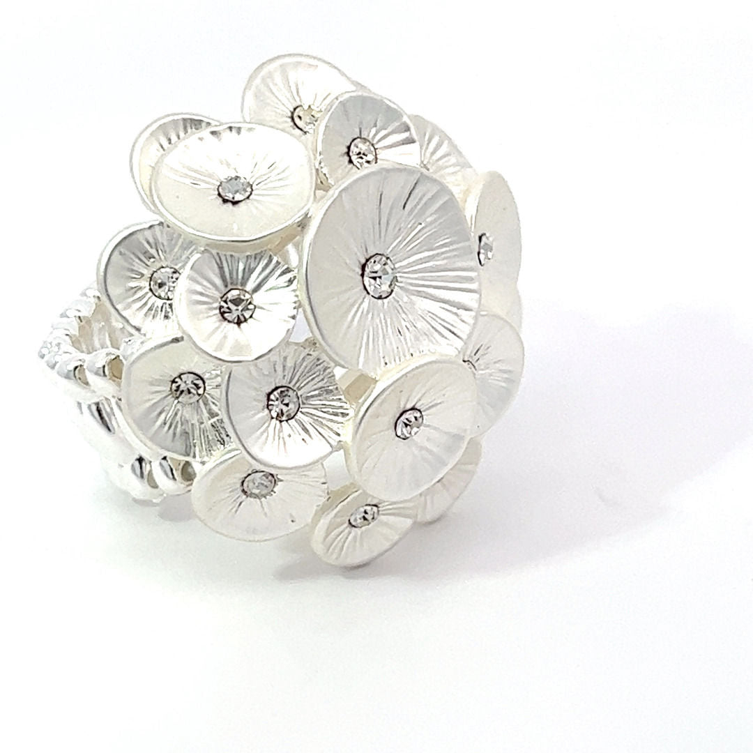 Ring elastische Schiene