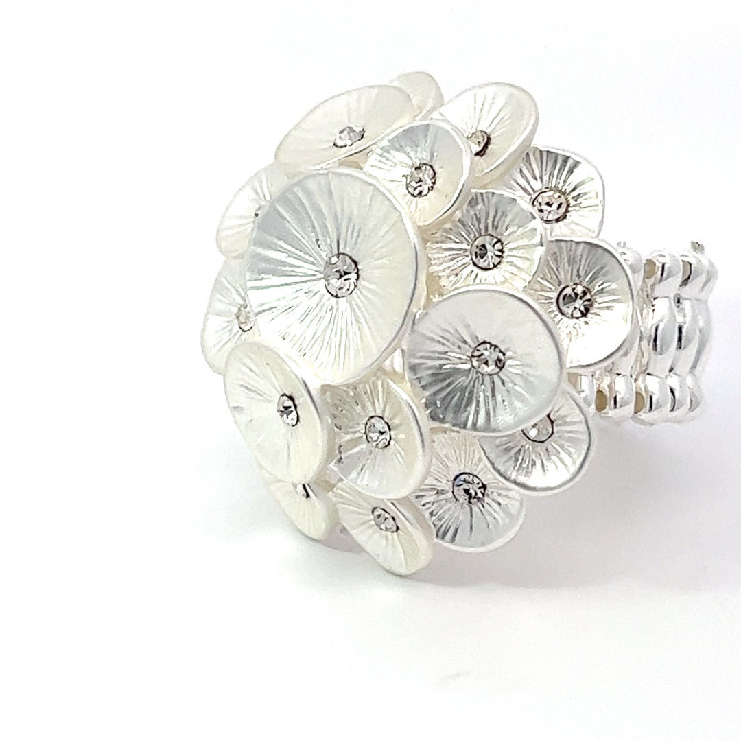 Ring elastische Schiene
