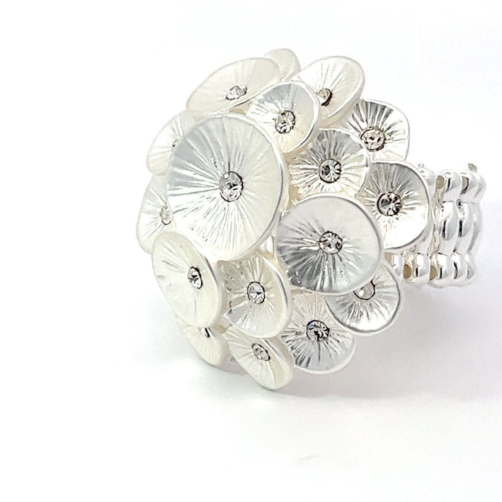 Ring elastische Schiene