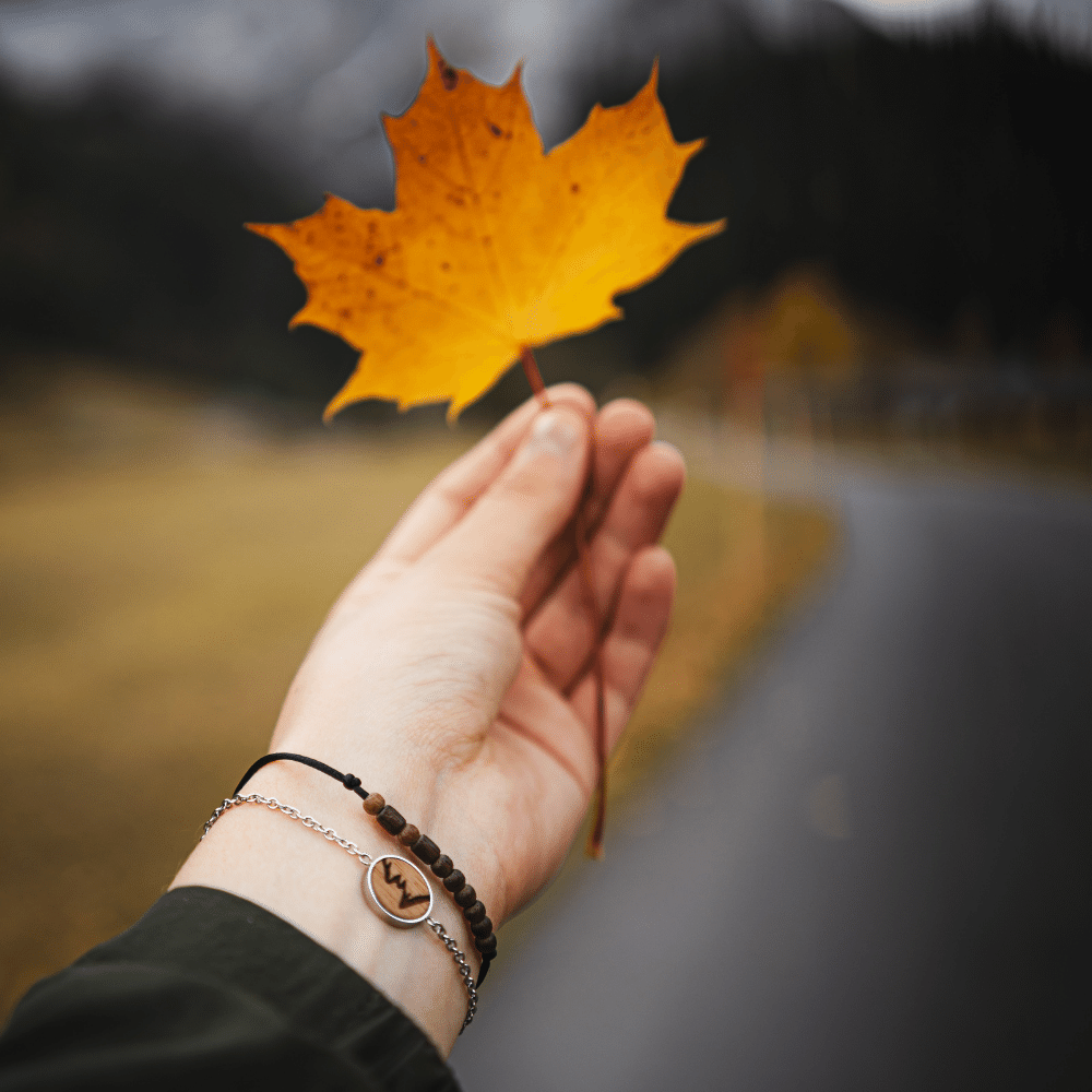 Berg Armband Skyla aus Edelstahl und Nussholz