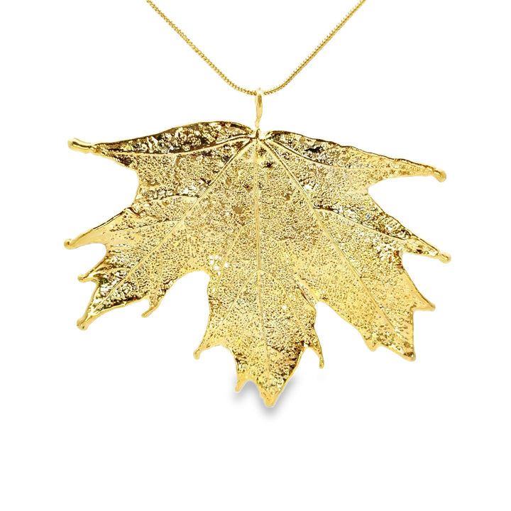 Kanadisches Ahorn Anhänger, Echtblatt, mit Kette vergoldet