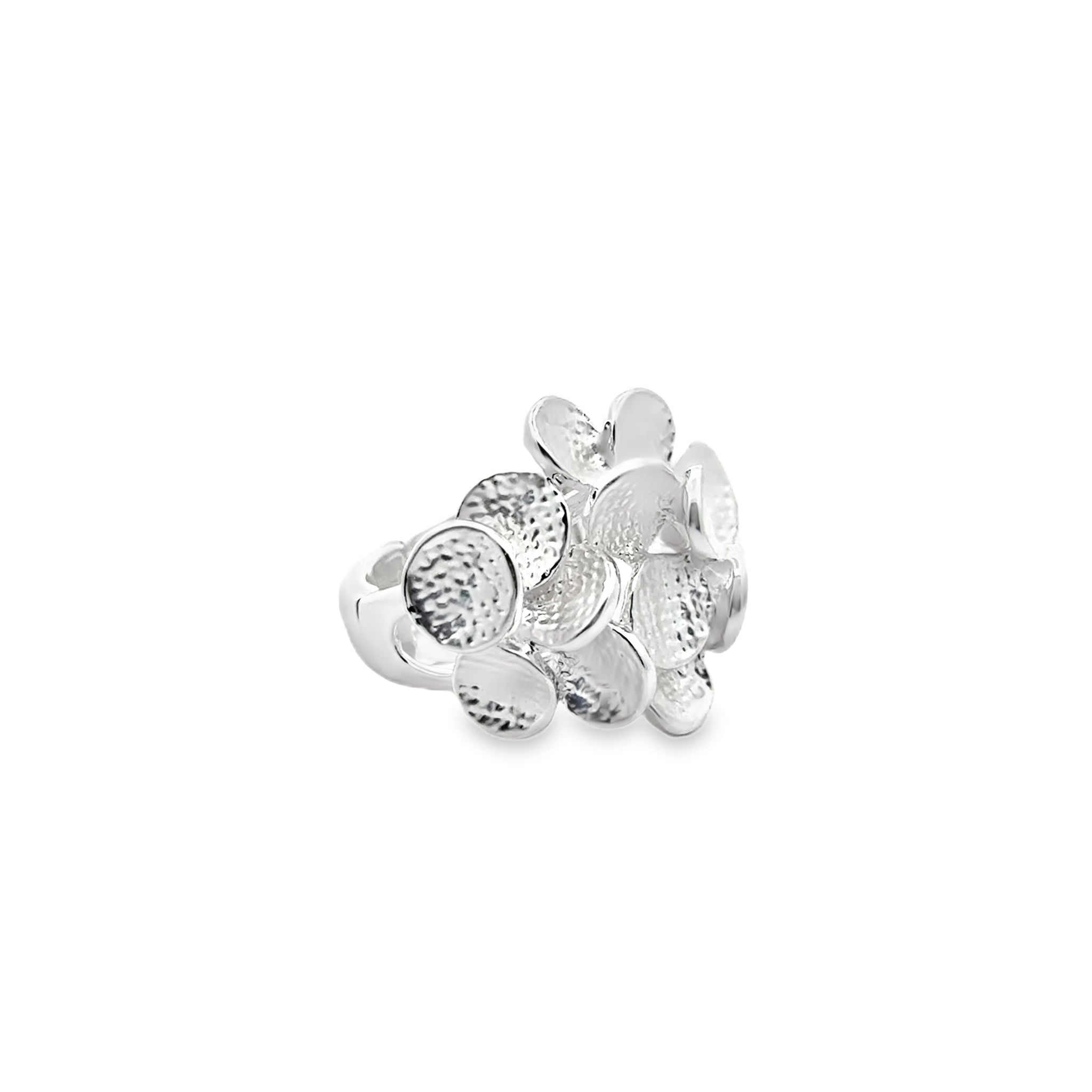 Ring elastische  Schiene
