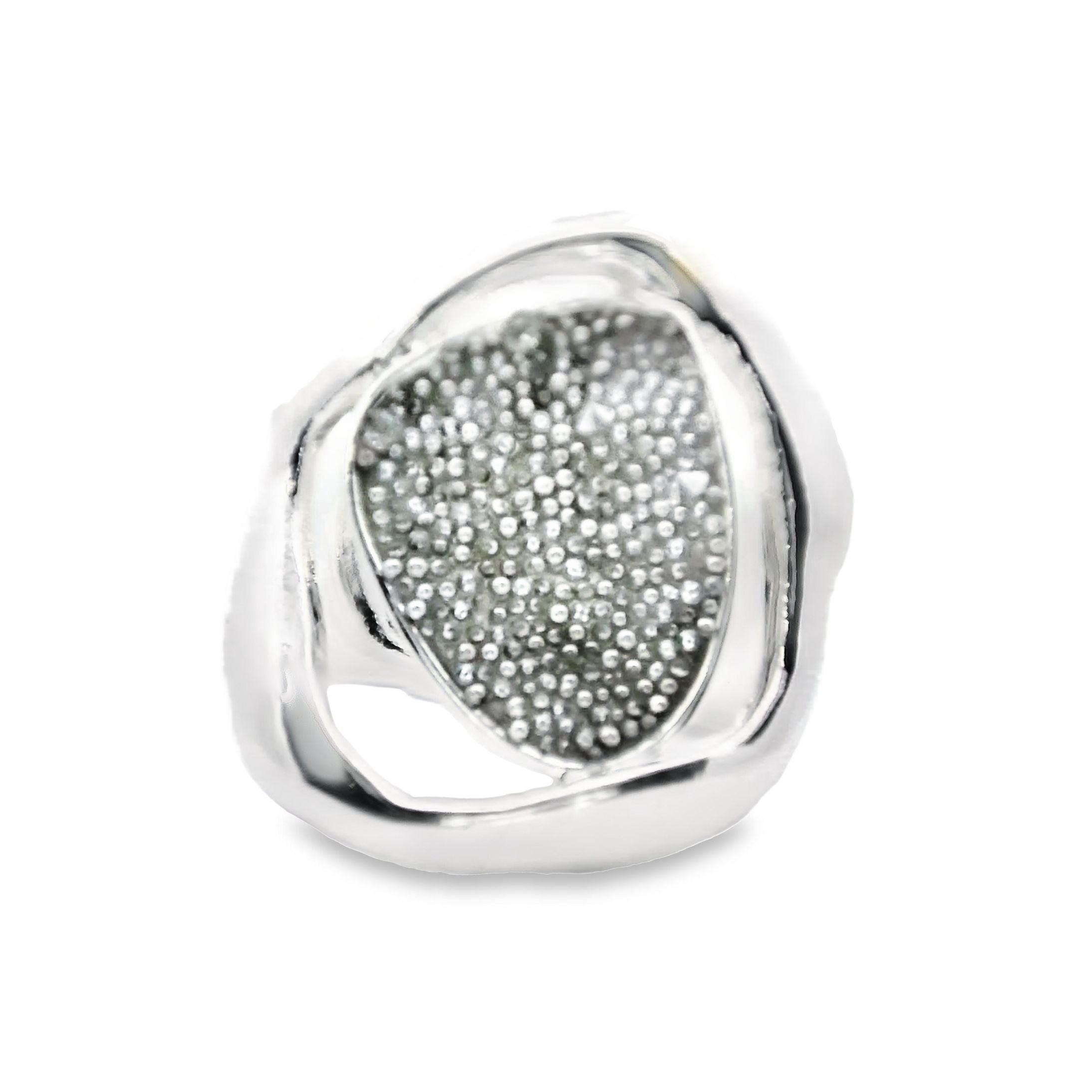 Ring elastische Schiene
