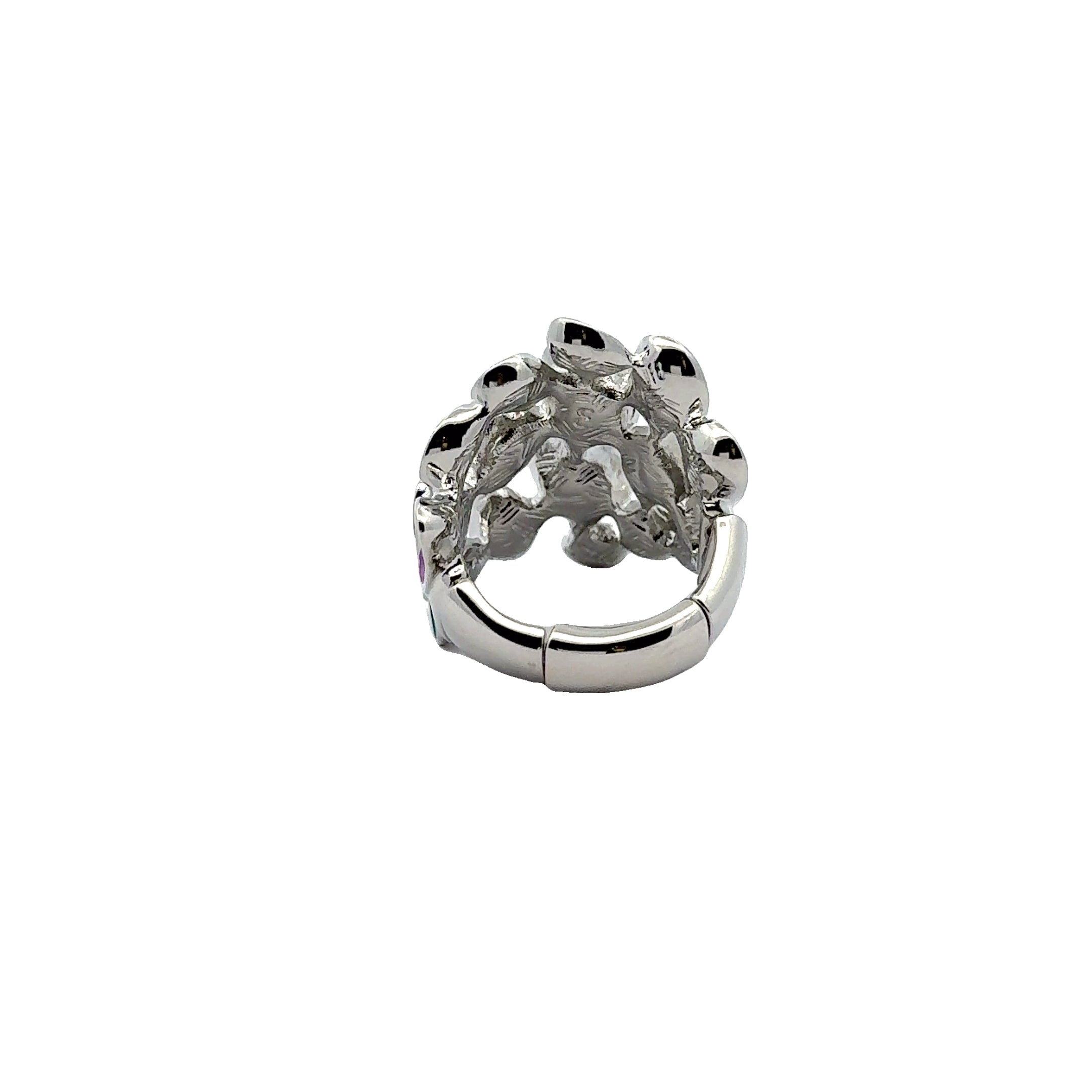 Ring Rainbow