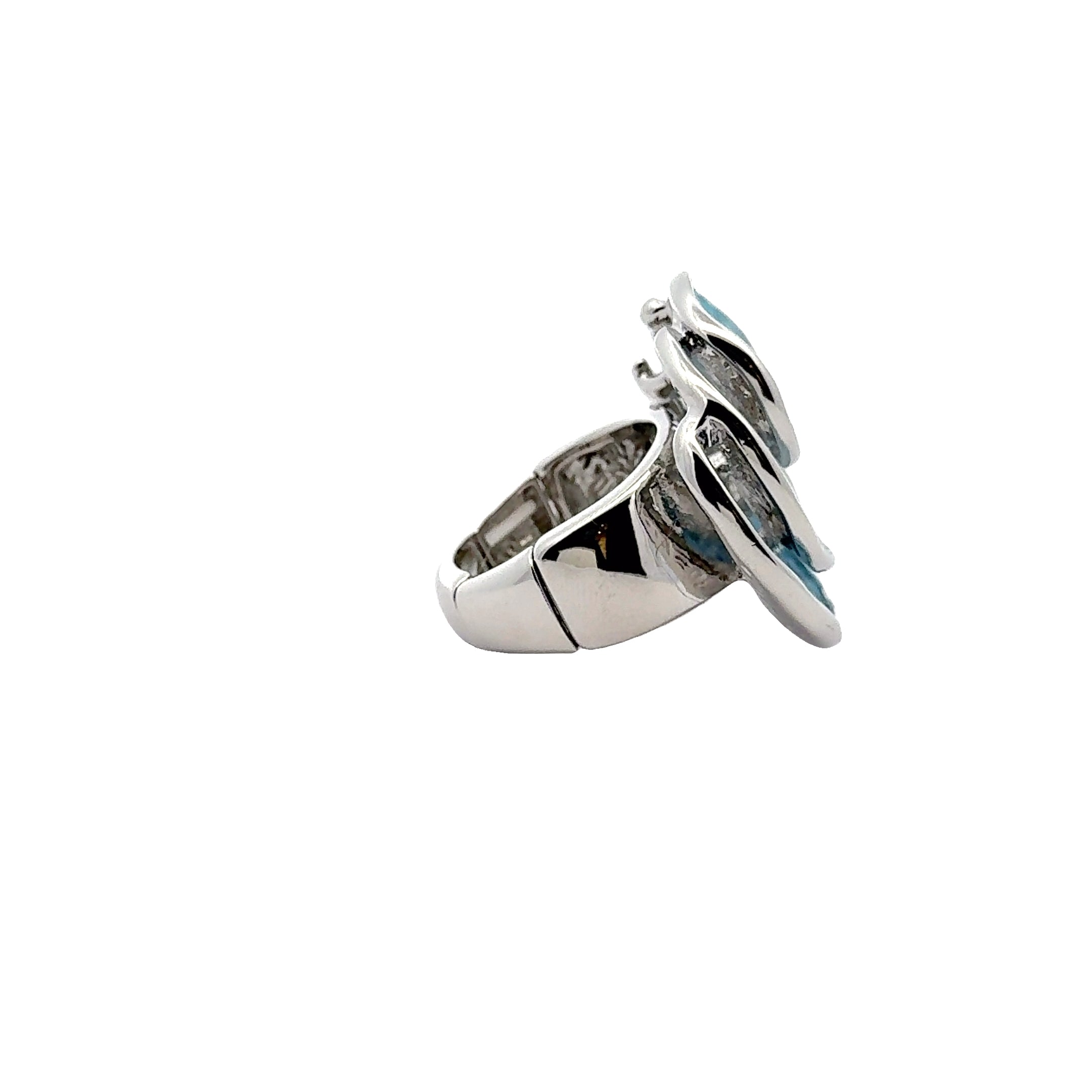 Ring Aria