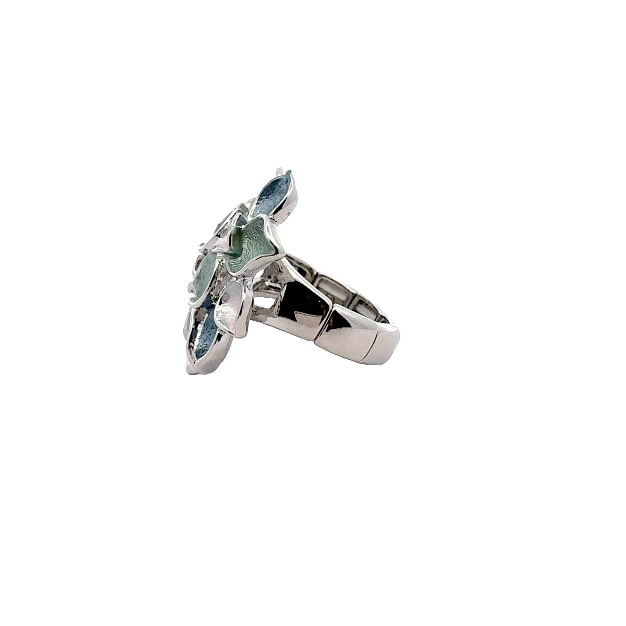 Ring Delicate