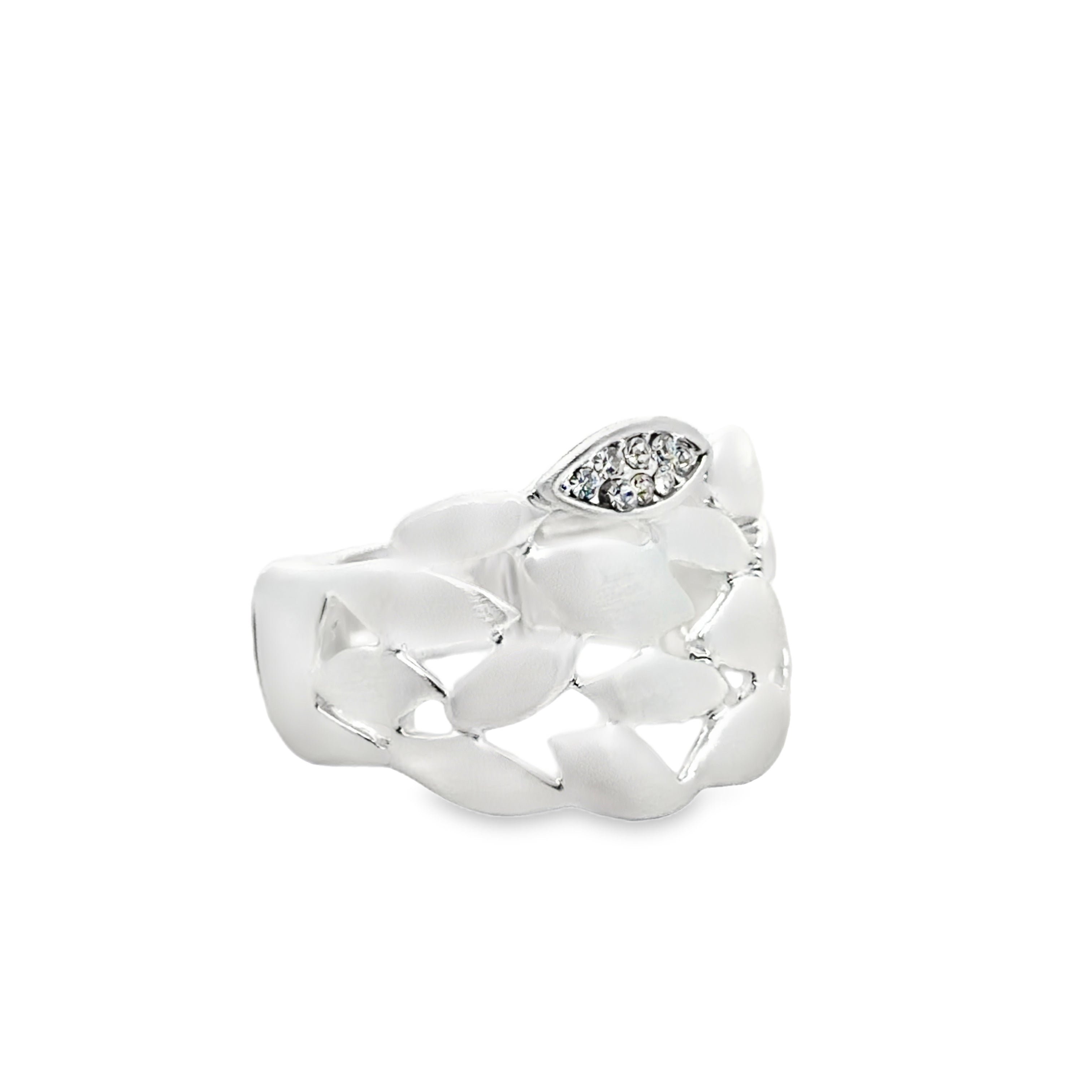 Ring elastische Schiene