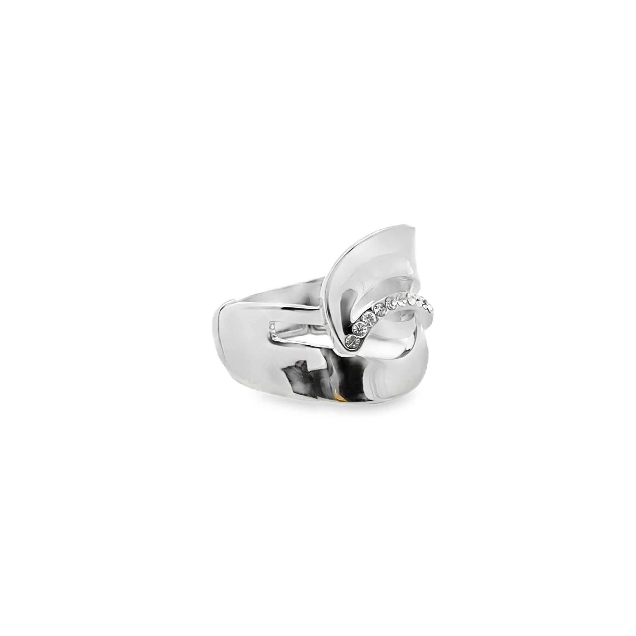 Ring elastische Schiene