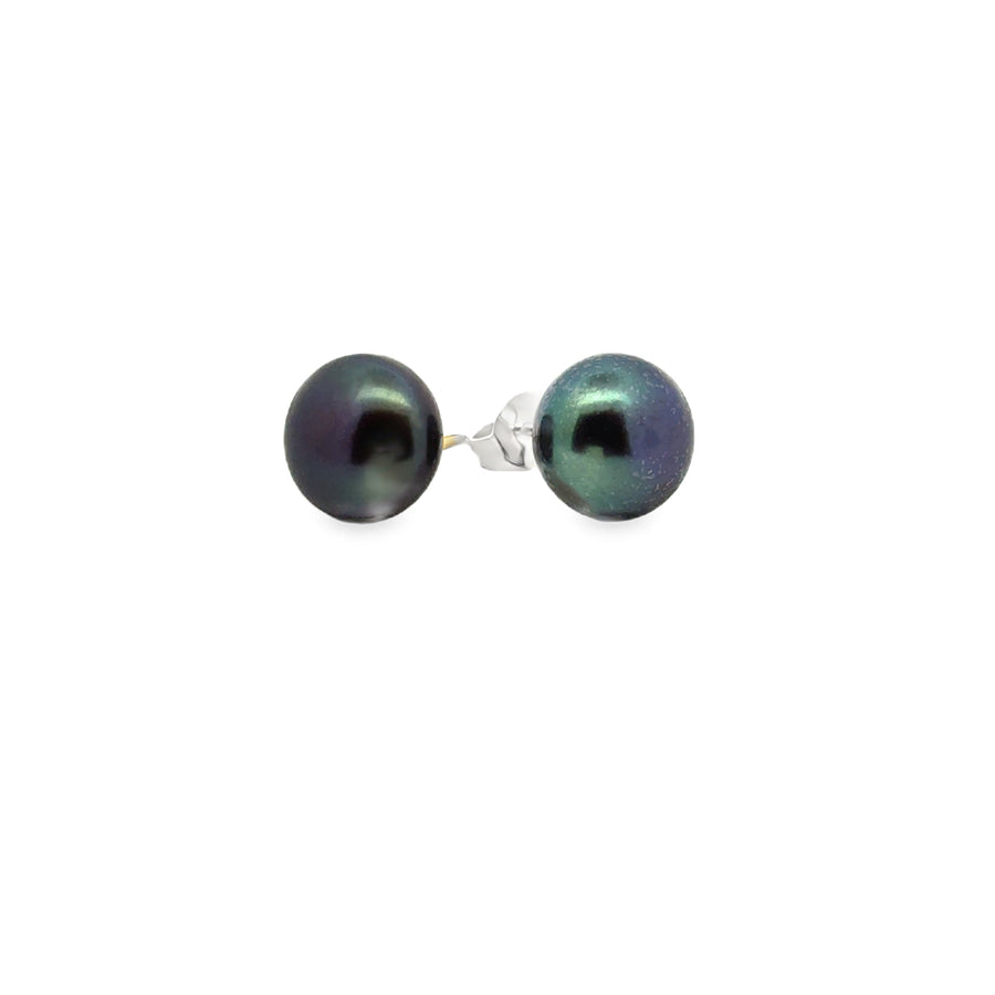 peacock Süsswasserperle Button und Silber Stecker, 10 mm - AAAA Qualität