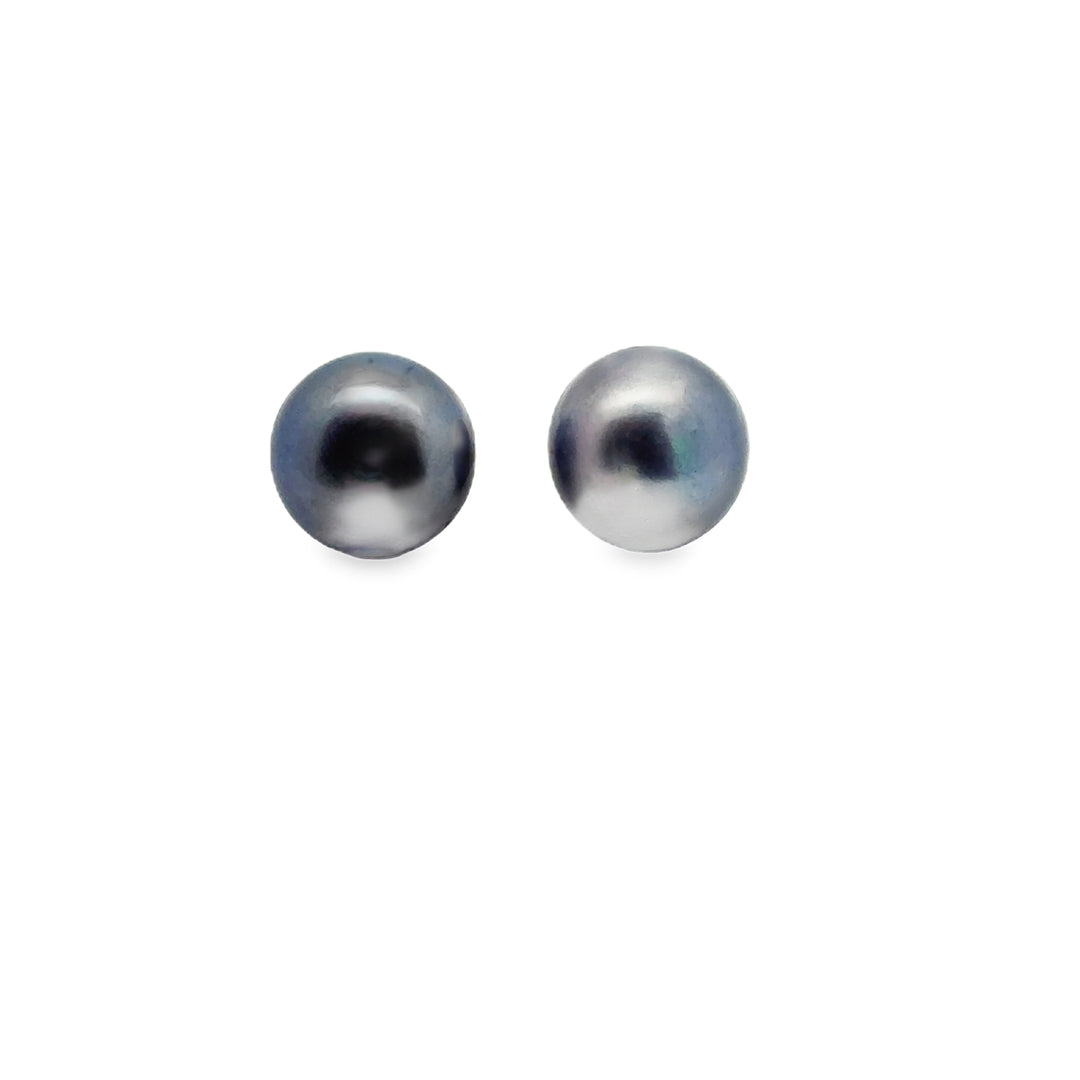peacock Süsswasserperle Button und Silber Stecker, 12 mm - AAAA Qualität