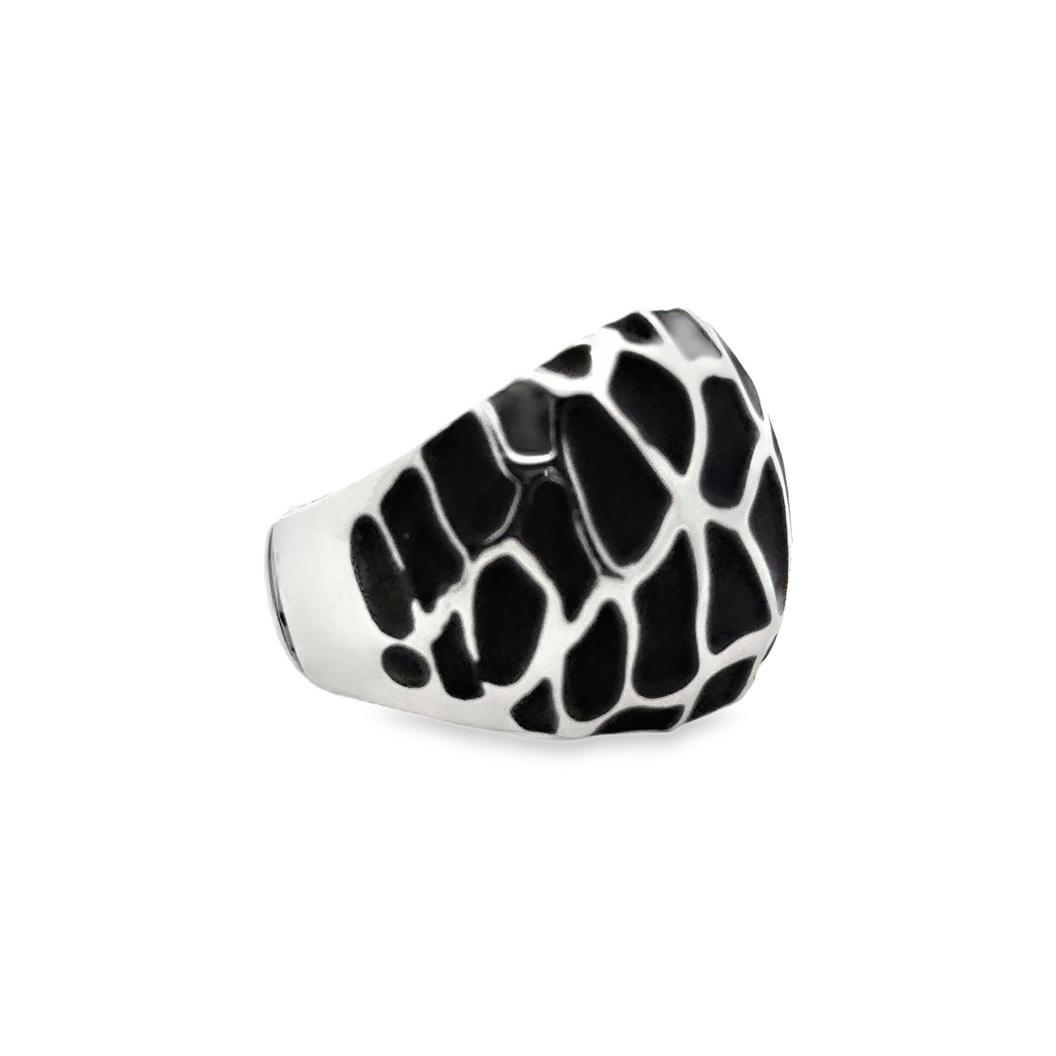 Ring elastische Schiene