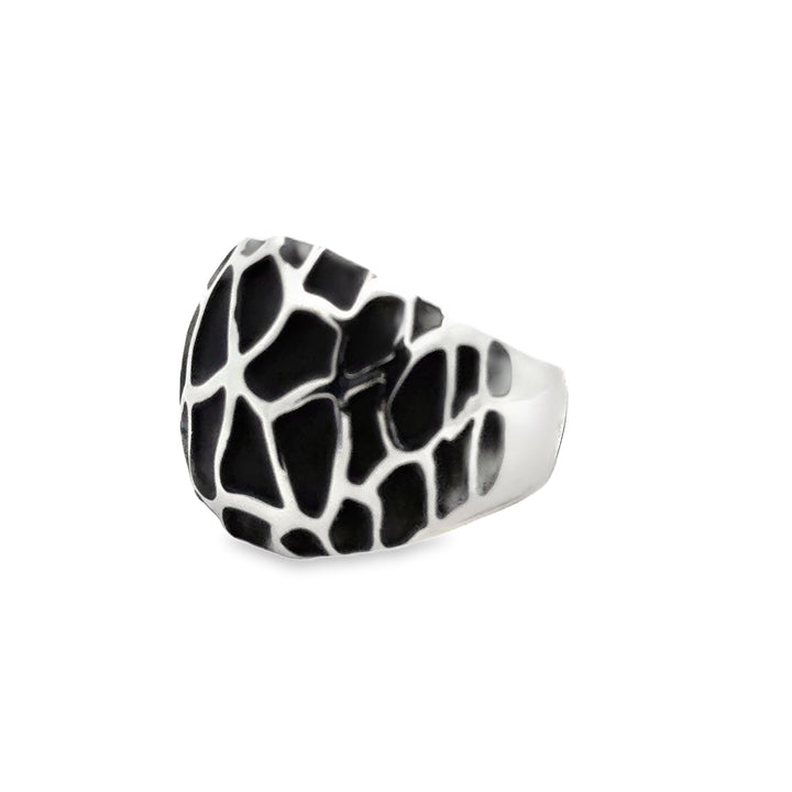 Ring elastische Schiene
