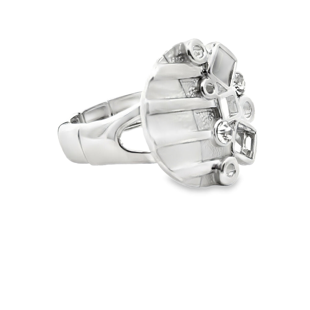 Ring elastische Schiene