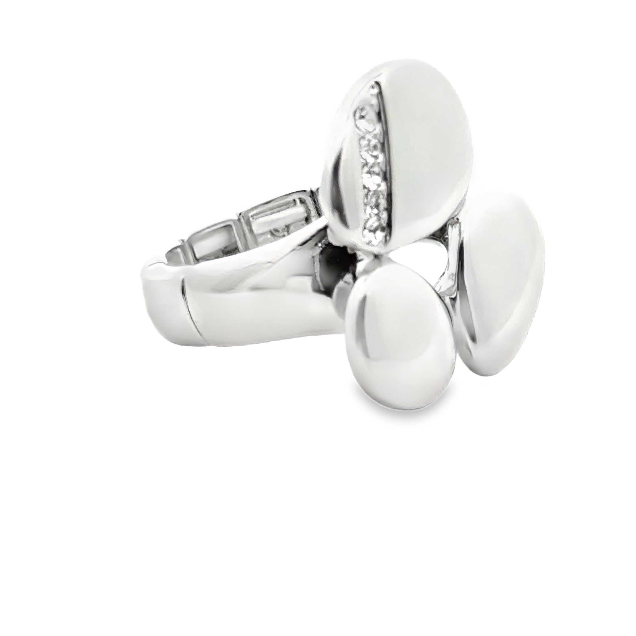 Ring elastische Schiene