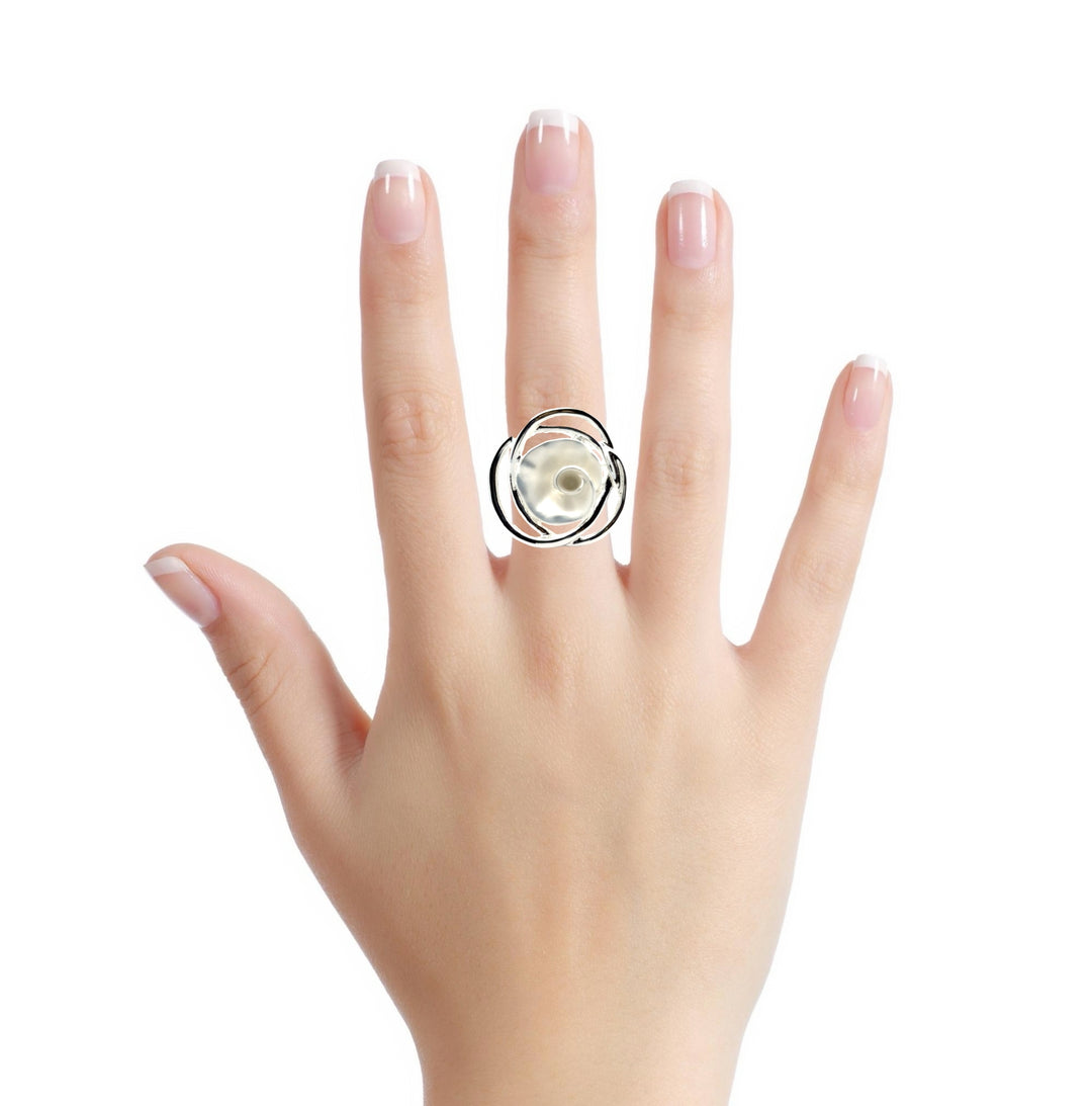 Ring elastische Schiene