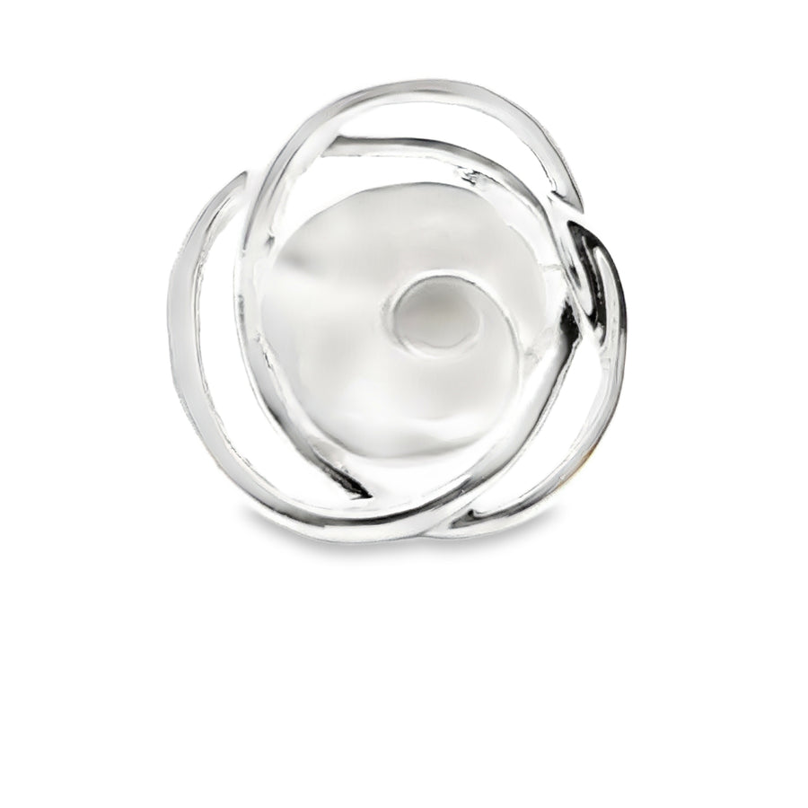 Ring elastische Schiene