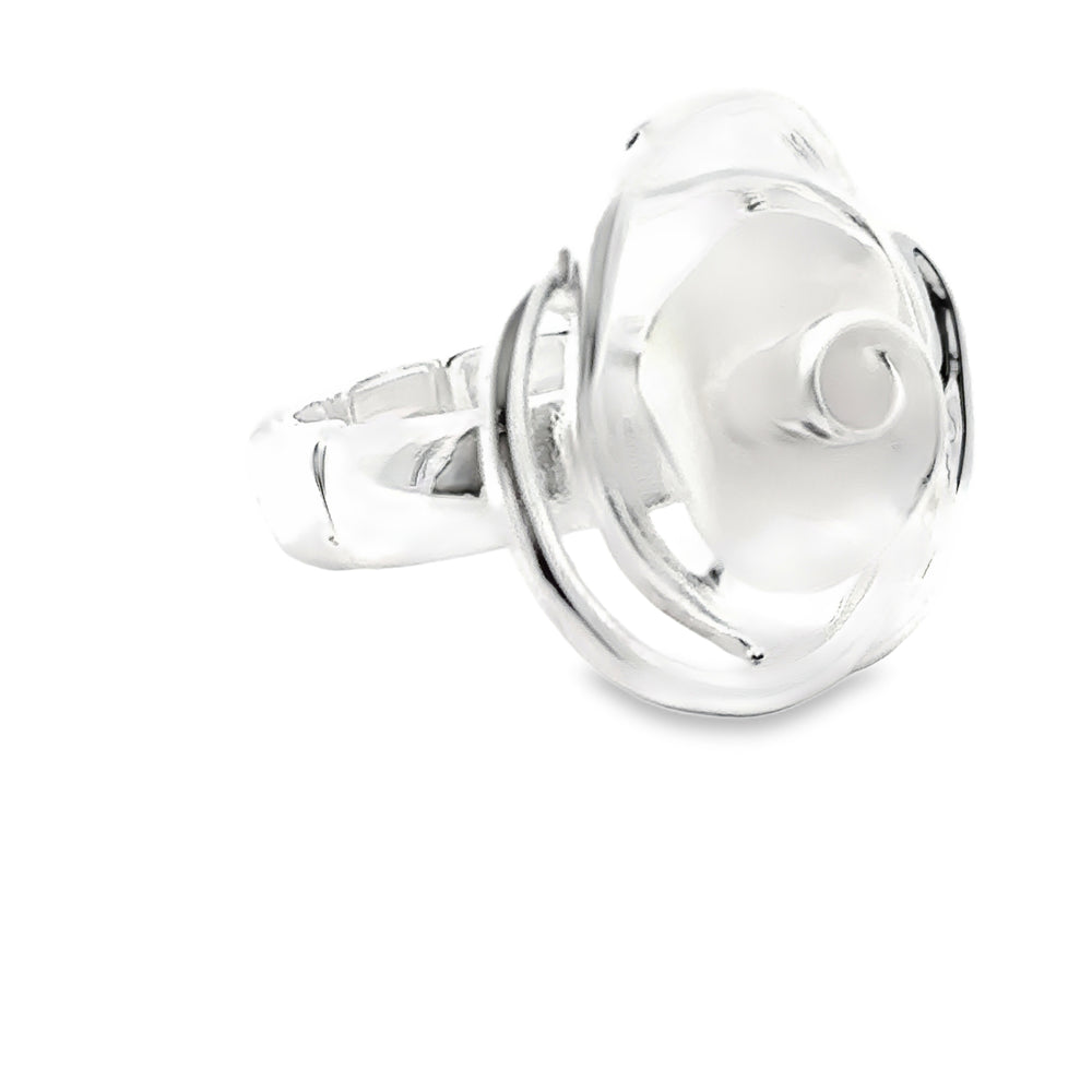 Ring elastische Schiene
