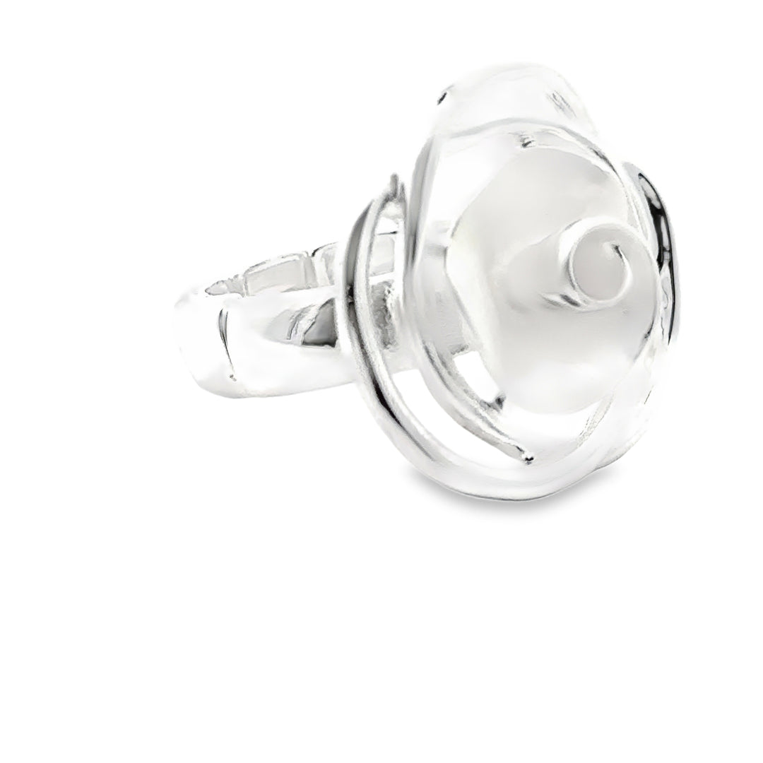 Ring elastische Schiene