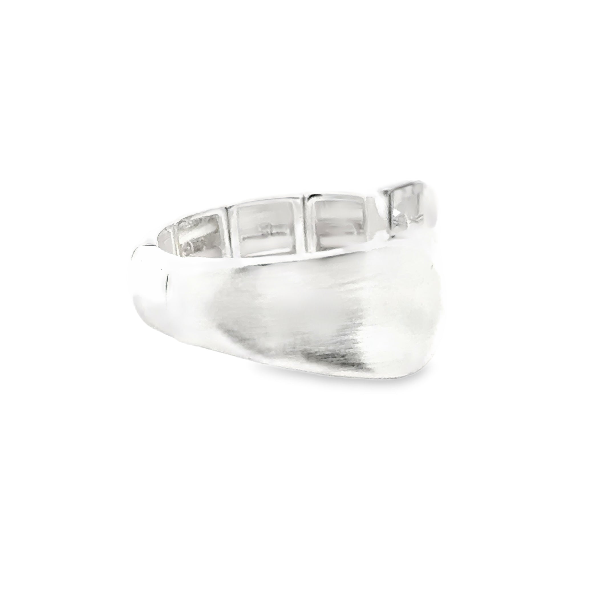 Ring elastische Schiene