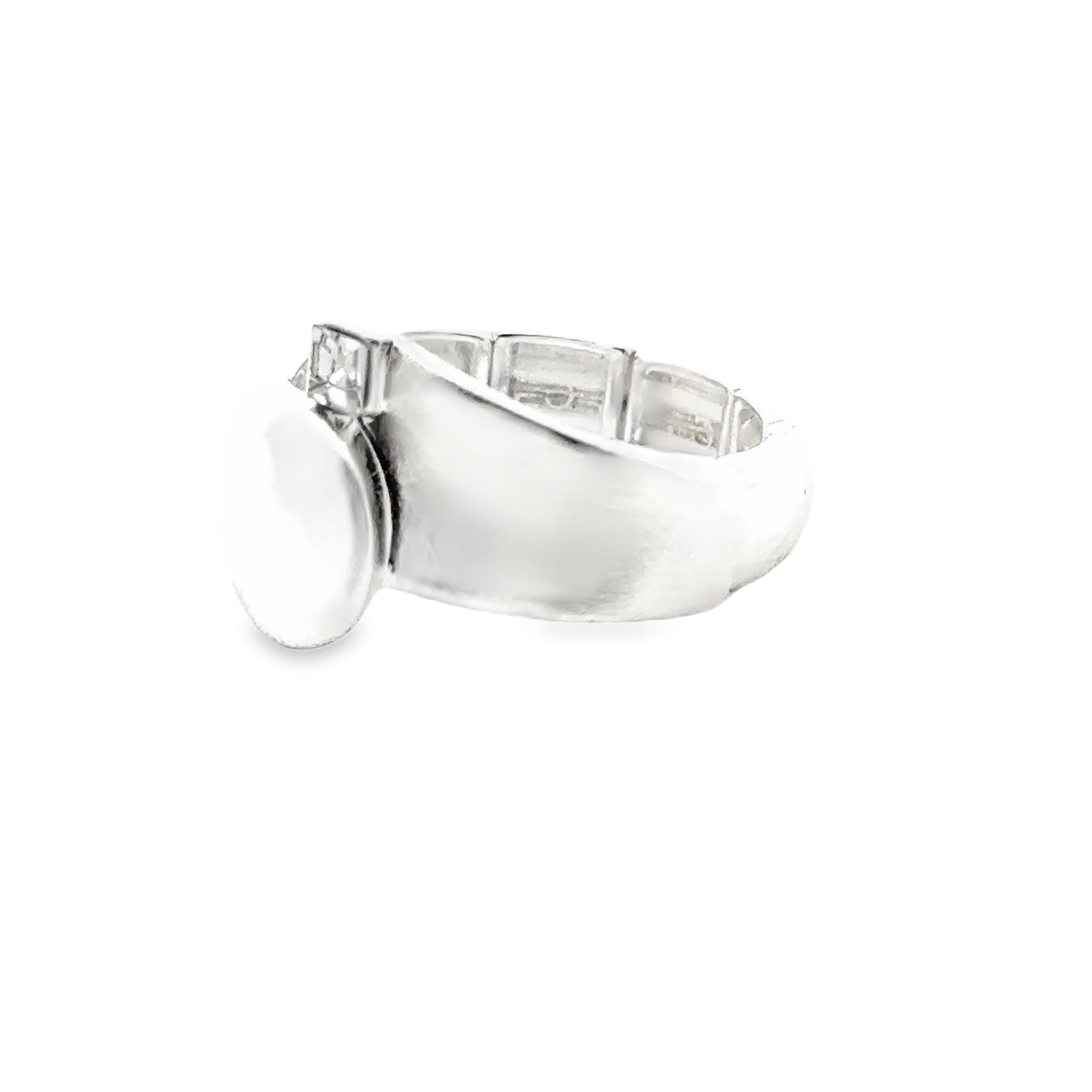 Ring elastische Schiene