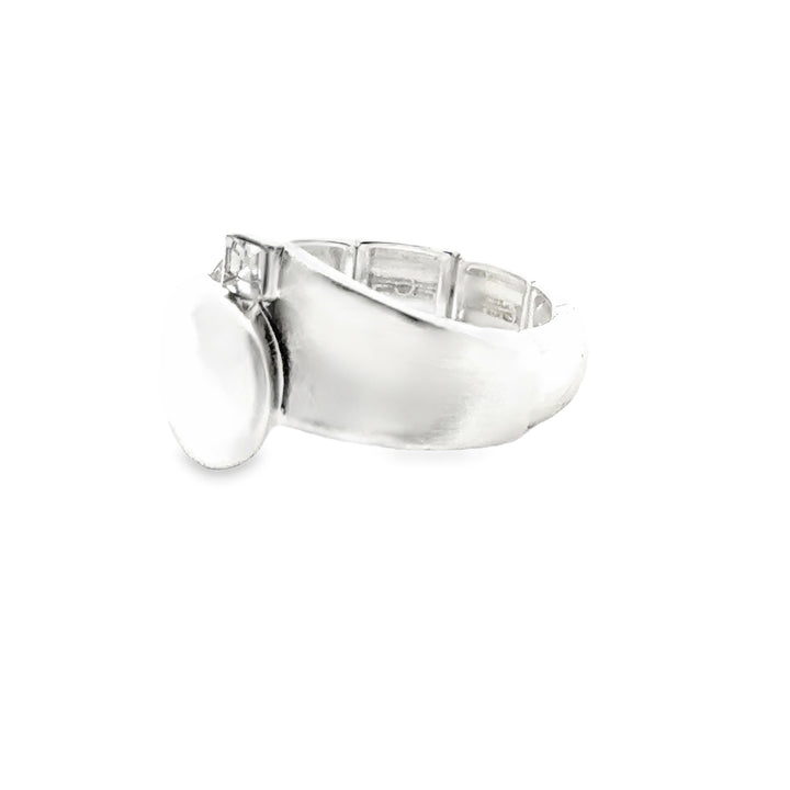 Ring elastische Schiene