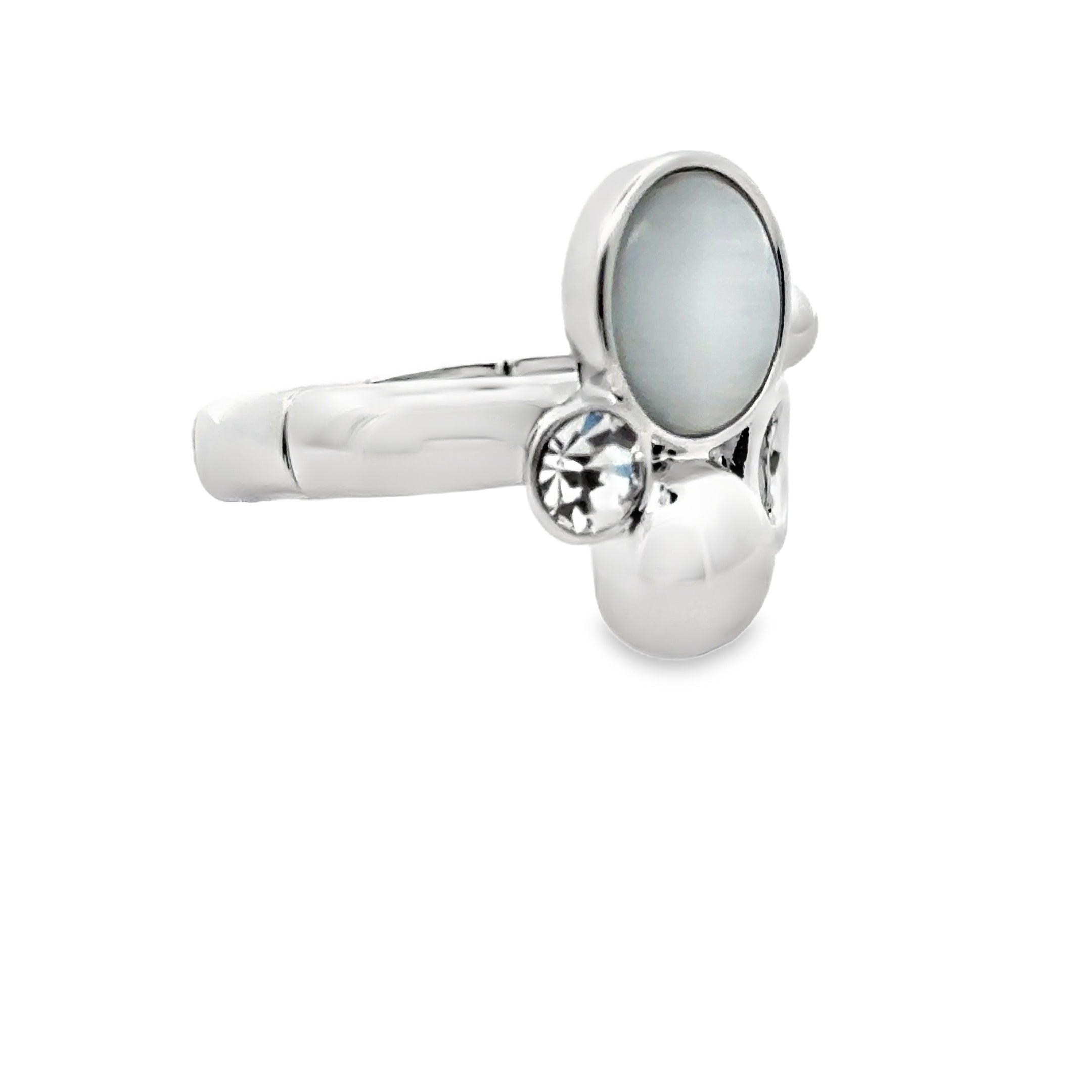 Ring elastische Schiene