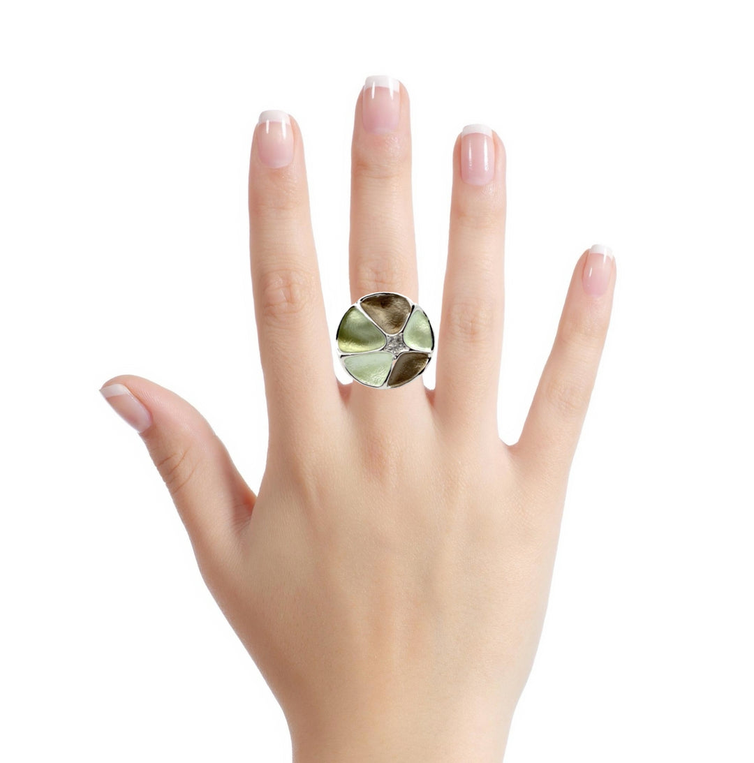 Ring elastische Schiene
