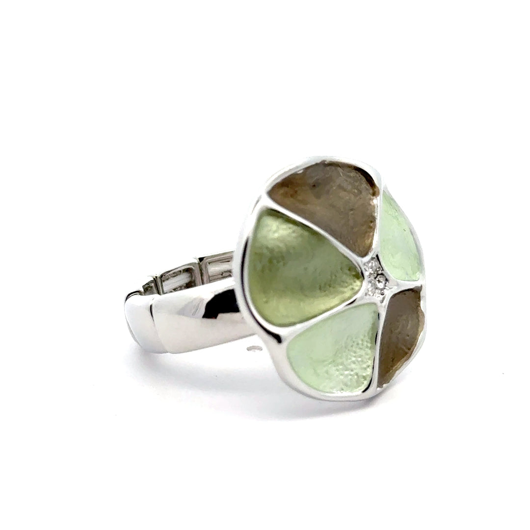 Ring elastische Schiene