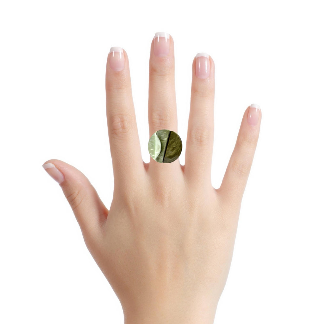 Ring elastische Schiene