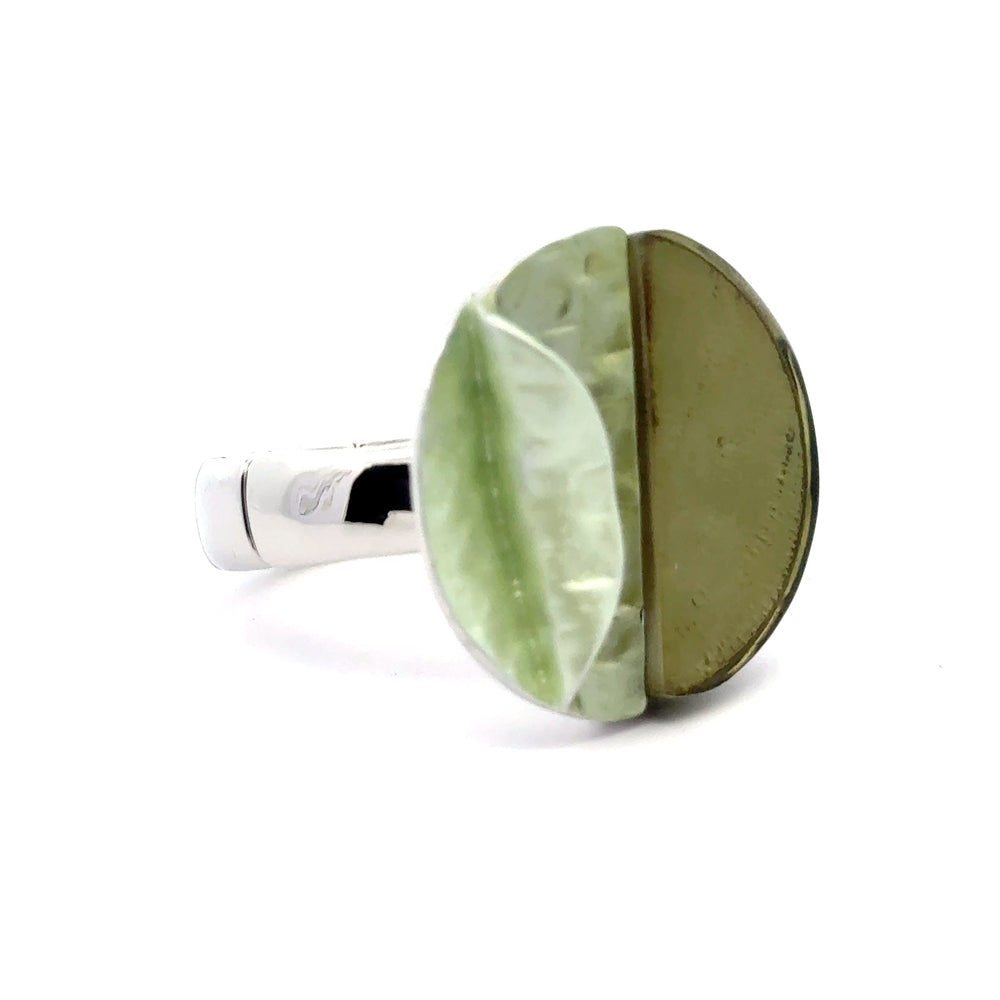 Ring elastische Schiene