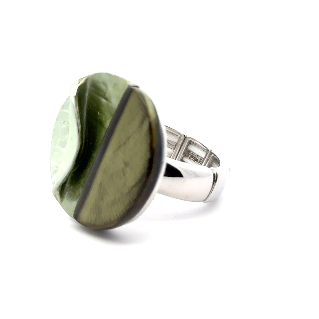 Ring elastische Schiene