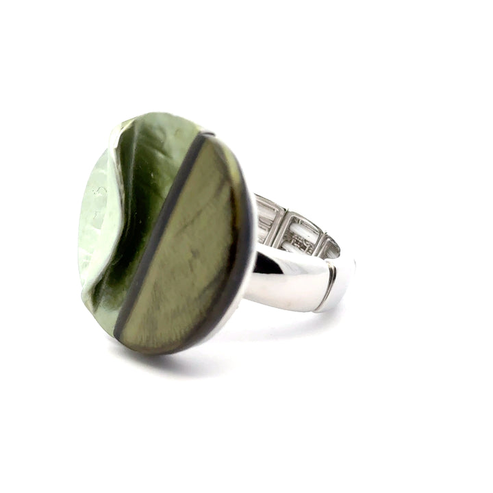 Ring elastische Schiene